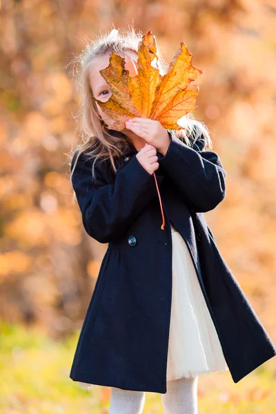 Ritratto di adorabile bambina all'aperto in una bella giornata autunnale — Foto Stock