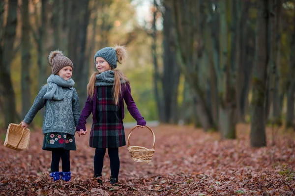 Zwei entzückende Mädchen im Wald an einem warmen, sonnigen Herbsttag — Stockfoto