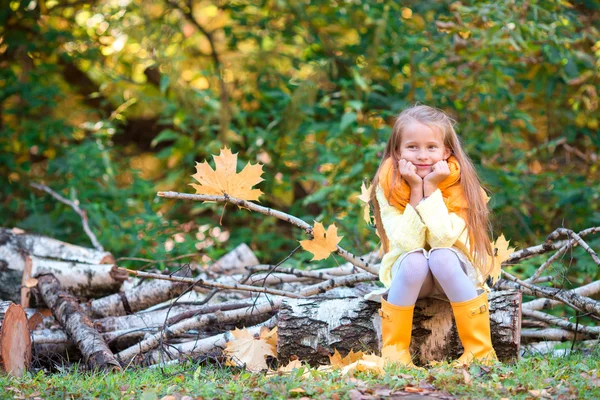 Adorable little girl outdoors at beautiful warm day in autumn park — Stock Photo, Image
