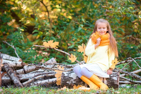 Porträtt av bedårande liten flicka utomhus på vacker höstdag — Stockfoto