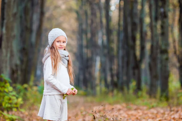 Bedårande liten flicka utomhus på vackra varm dag i höst park — Stockfoto