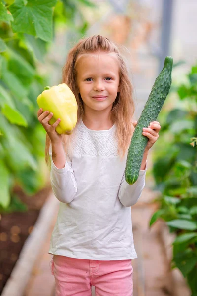 Little girl in greenhouse with green pepper and cucumber in hands. Time to harvest. Big basket full of vegetables — Stock Photo, Image