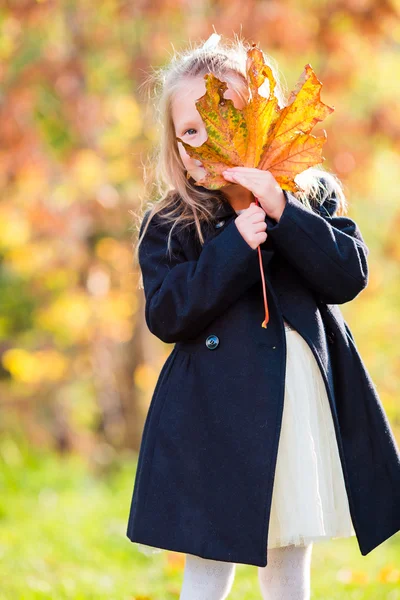 Adorável menina jogando wuth folhas ao ar livre no belo dia de outono — Fotografia de Stock