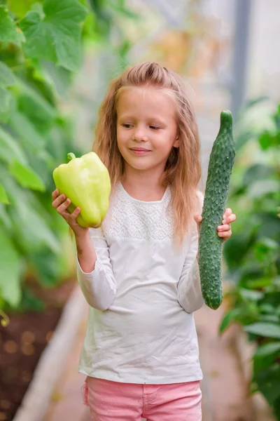 Niña en invernadero con pimienta y pepino en las manos. Hora de cosechar. Gran cesta llena de verduras —  Fotos de Stock