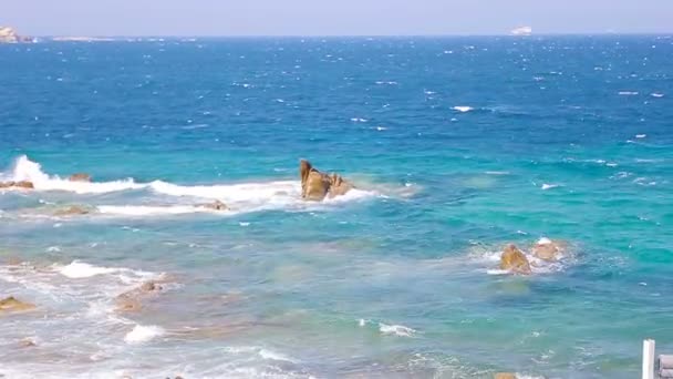 Ogromne fale rozbijające się na skałach wyspy Syros, Grecja. Mewy cieszył się on wysoce. — Wideo stockowe