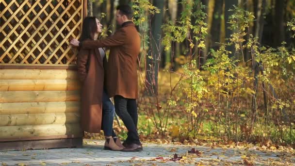 Familia feliz caminando en el parque de otoño en el soleado día de otoño — Vídeo de stock