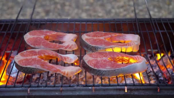 Filetes de pescado barbacoa. Trozos de salmón se fríen sobre un fuego abierto. — Vídeo de stock