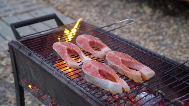 BBQ fiskebøffer. Stykker laks steges over åben ild. – Stock-video