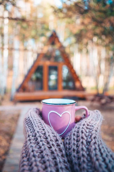 Taza caliente de té que calienta las manos de las mujeres en suéter de lana en el fondo de la casa acogedora —  Fotos de Stock