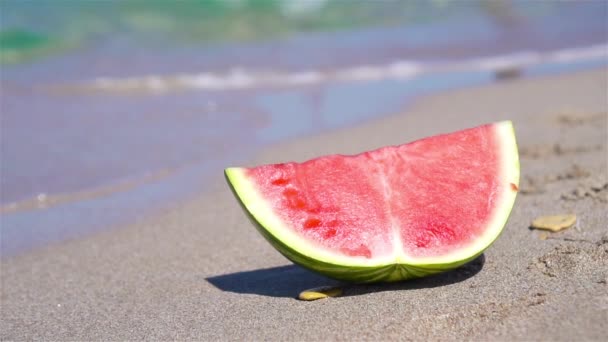 Stukje watermeloen op het strand — Stockvideo