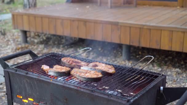 Steaks de poisson barbecue. Des morceaux de saumon sont frits sur un feu ouvert. — Video