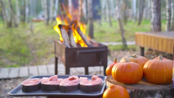 Grillezett hal steak. A lazacdarabokat nyílt tűzön sütik.. — Stock videók