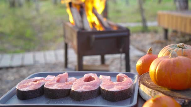 Bifes de peixe churrasco. Pedaços de salmão são fritos sobre uma fogueira. — Vídeo de Stock