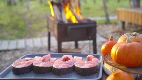 BBQ 생선 스테이크. 탁트인 불위에서 연어를 튀긴다. — 비디오