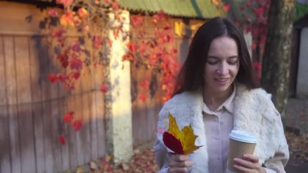 Herbstkonzept - schöne Frau im Herbstpark unter Herbstlaub — Stockvideo