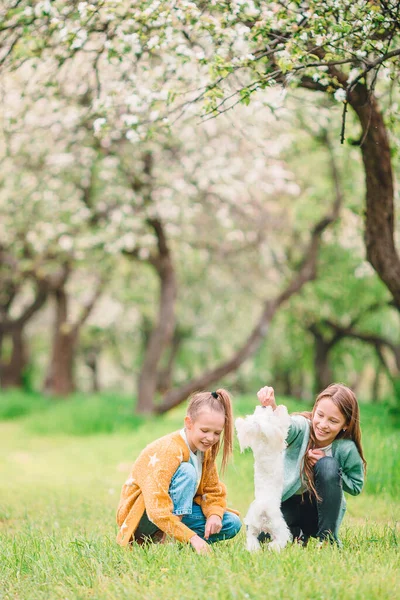Маленькі усміхнені дівчата грають і обіймають цуценя в парку — стокове фото
