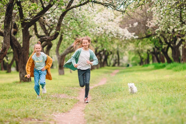 公園で子犬と遊んでいる小さな笑顔の女の子 — ストック写真