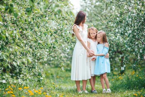 Очаровательные маленькие девочки с молодой матерью в цветущем вишневом саду в прекрасный весенний день — стоковое фото