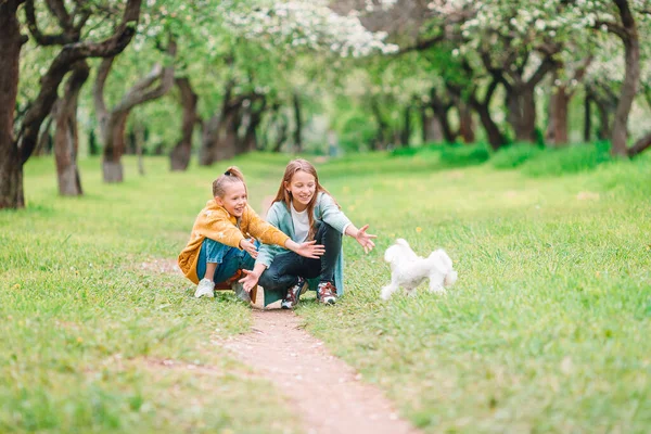 Little smiling girls playing and hugging puppy in the park — Stock Photo, Image