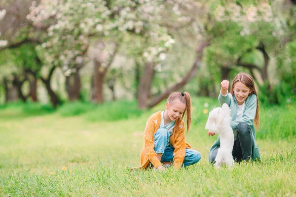 春の日にリンゴの木の庭を開花させる愛らしい女の子 — ストック写真