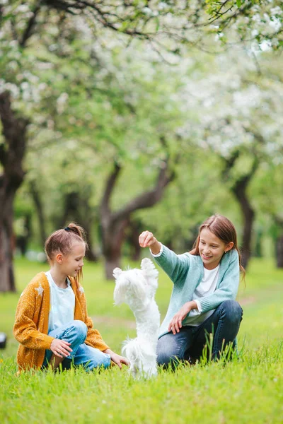 Küçük gülümseyen kızlar parkta oynuyorlar ve yavru köpeklere sarılıyorlar. — Stok fotoğraf