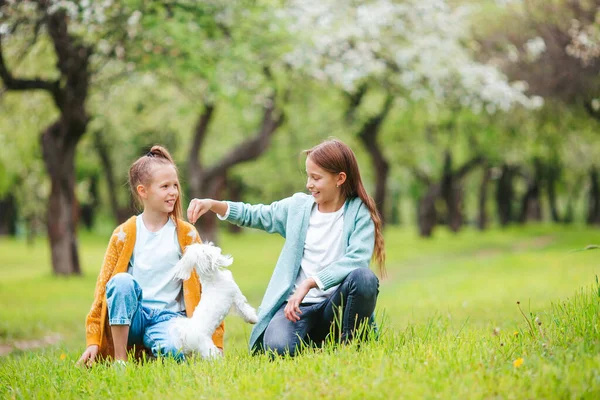 小さな笑顔の女の子遊びと抱擁子犬で公園 — ストック写真