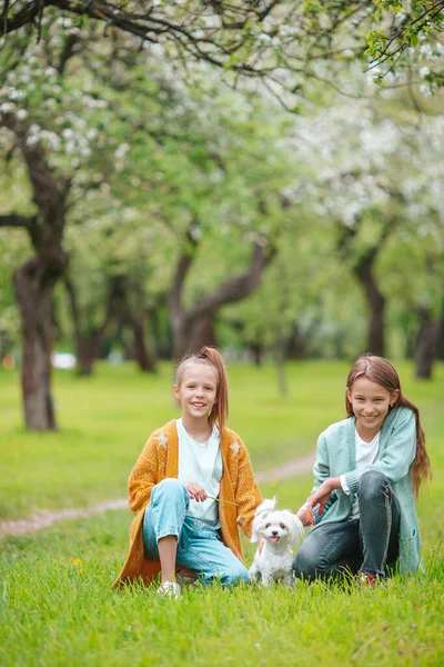 小さな笑顔の女の子遊びと抱擁子犬で公園 — ストック写真