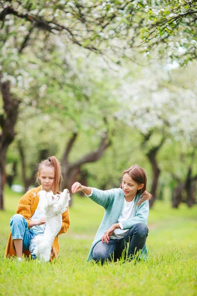 Little smiling girls playing and hugging puppy in the park — Stock Photo, Image