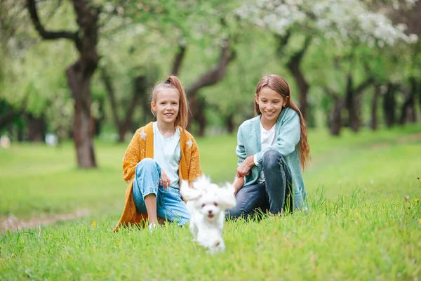 Küçük gülümseyen kızlar parkta oynuyorlar ve yavru köpeklere sarılıyorlar. — Stok fotoğraf