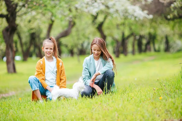 Due bambini piccoli al picnic nel parco — Foto Stock