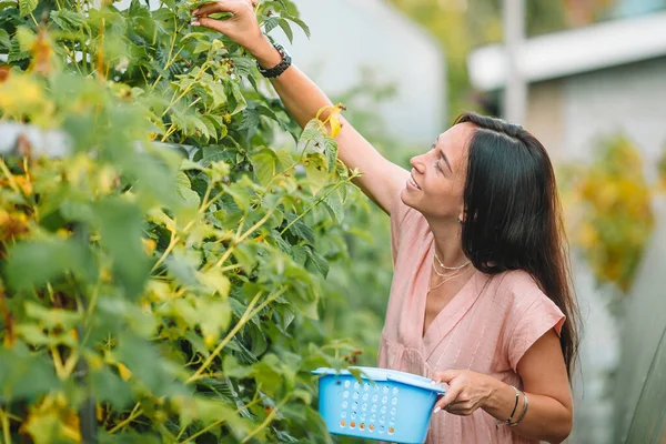 Schöne junge Frau bei der Gartenarbeit im Gewächshaus — Stockfoto