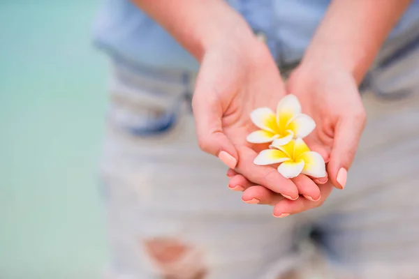 Hermosas flores frangipani en las manos fondo mar turquesa en la playa blanca —  Fotos de Stock