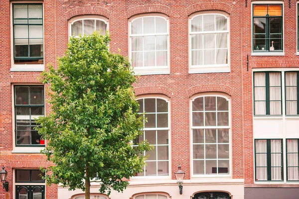 Casas medievales holandesas tradicionales en Amsterdam capital de Holanda —  Fotos de Stock