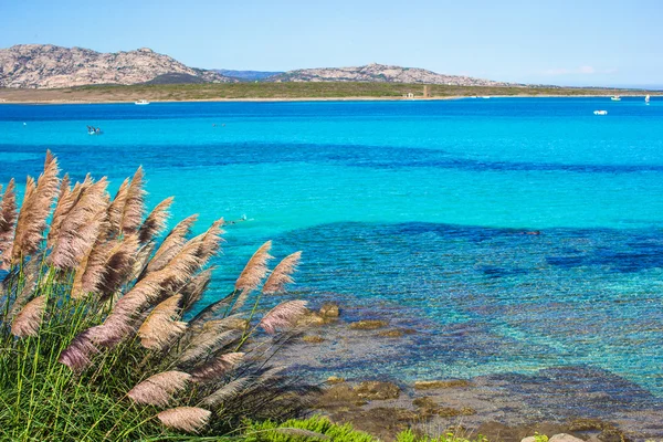 Beautiful view of the turquoise clear sea on Sardinia — Stock Photo, Image