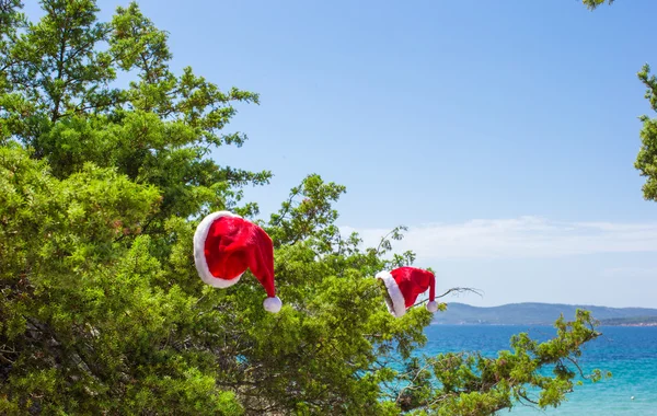Kerstman hoed op vuren bush achtergrond de turquoise zee op tropisch strand — Stockfoto