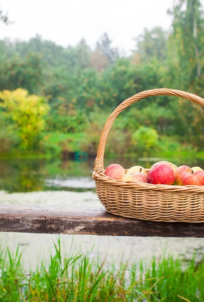 Big straw basket with red and yellow apples on bench by the lake — Stock Photo, Image