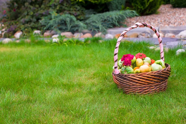 Großer Korb voller geernteter Tomaten auf grünem Gras — Stockfoto