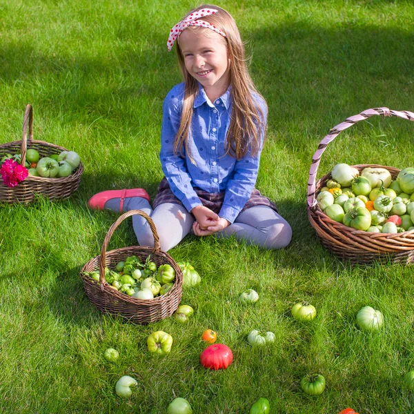 Happy little girl with autumn harvest of tomato in baskets — Stock Photo, Image