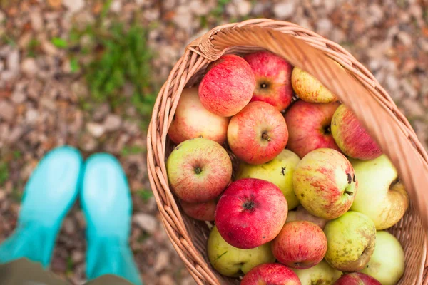 Bright mint rubber boots and straw basket in the village — Stock Photo, Image