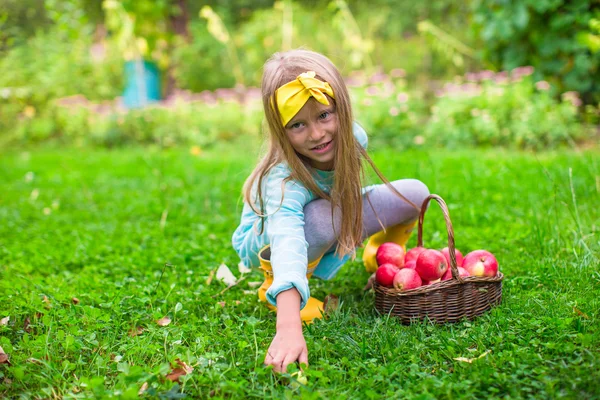 Bambina con cesto di mele nella soleggiata giornata autunnale — Foto Stock