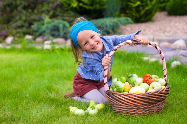 Portrait of little girl with autumn harvest of tomato in baskets — Stock Photo, Image