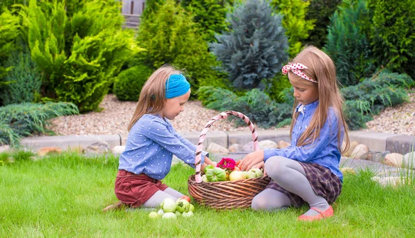 两个小快乐女孩与伟大的秋季收获，西红柿在篮子里 — 图库照片