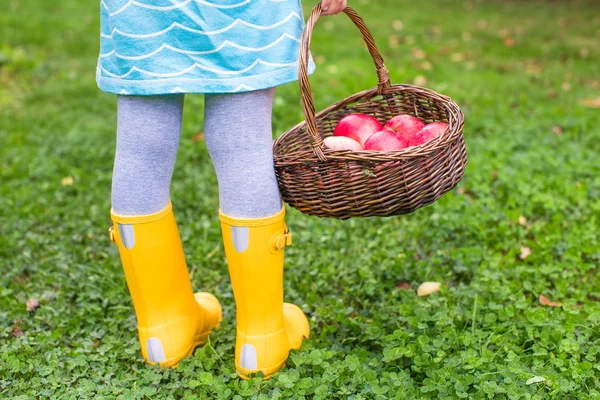 Cesta com maçãs vermelhas e botas de borracha amarela na menina — Fotografia de Stock