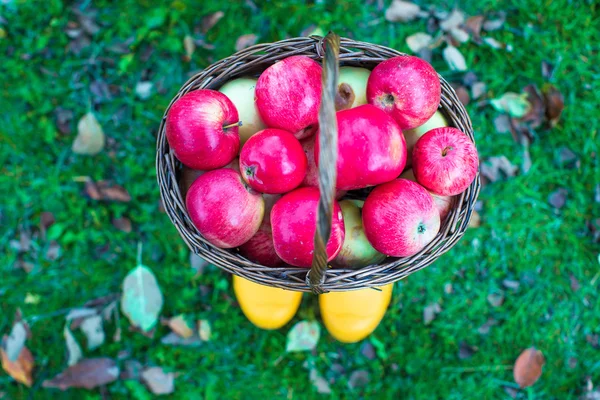 Straw basket with red apples on yellow rubber boots at the grass — Stock Photo, Image