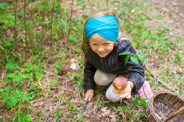 Pouco bonito menina pegar cogumelos na floresta — Fotografia de Stock