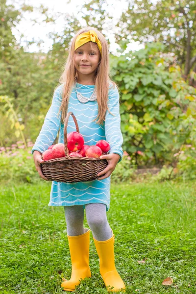 Little girl with basket of apples in sunny autumn day — Stock Photo, Image