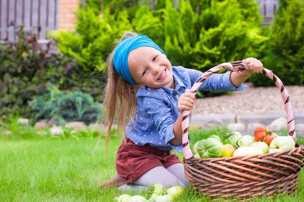 Linda niña con cosecha de otoño de tomates en cestas —  Fotos de Stock