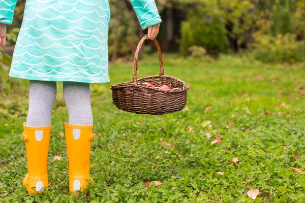 Basket with red apples and yellow rubber boots on little girl — Stock Photo, Image