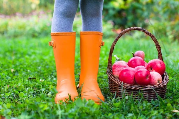 Fechar a cesta com maçãs vermelhas e botas de borracha na menina — Fotografia de Stock