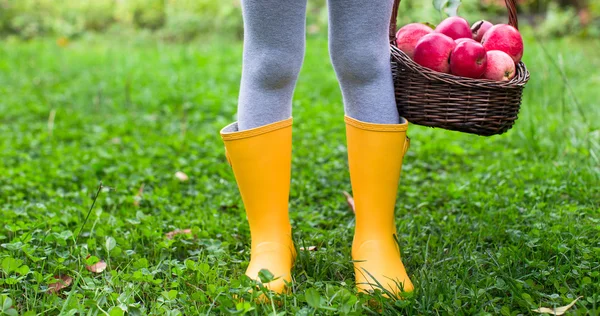 Nahaufnahme von Korb mit roten Äpfeln und Gummistiefeln auf kleines Mädchen — Stockfoto